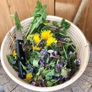 Gesammelte Wildkräuter und Blumen