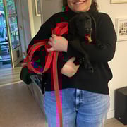 Leoneta mit Quick You