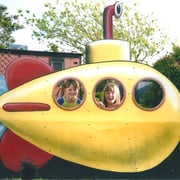 We all live in a.....