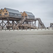 neubau // pfahlbauten // SPO // lph 1-9