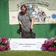 Bester Jüngstenhund: Scottish Terrier Hündin "Sir Darnley's Zophisticated Zusan"