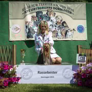 Yorkshire Terrier Rüde "Camparis KidRock"