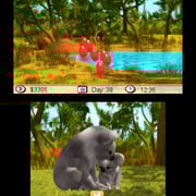 Outback Pet Rescue 3D