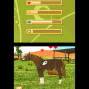 Outback Pet Rescue 3D