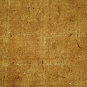 簀数: 45本/寸、糸目幅: 18㎜、板目: 裏（壁目）明瞭、刷毛目: 不可視