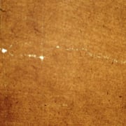 簀数: 51本/寸、糸目: 不可視、板目: 裏（壁目）微か、刷毛目: 染色の刷毛目両面にあり