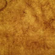 簀数:45本/寸、糸目幅:17㎜、板目:不可視、刷毛目:表・明瞭