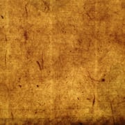 簀数: 45本/寸、糸目幅: 17㎜、板目: 表（壁目）普通、刷毛目: 裏・明瞭