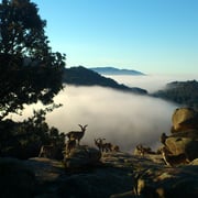 Integral de la Pedriza