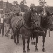 Güselwaggen von Fuhrhalterei Staub Baar