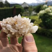 Artischockenkluft – Fam. Tschirren