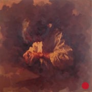 adam bota, "sucher", 2014, 90 x 90 cm, oil on canvas – erlas galerie