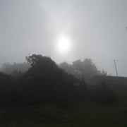 29.07.2014 Aufstieg zum Col de Vars - Regen setzt ein in der ersten Hälfte des Aufstiegs...
