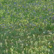 28.07.2014 Aufstieg zum Col d'Izoard