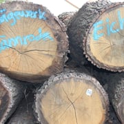 Holzherkunft 5
