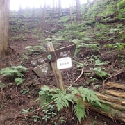 惣岳山の山頂手前の分岐。右折して高水山方面へ向かいます。通行止めサインは「高水山へは行けない」という意味。