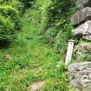 下り切った登山口で、ここからは細い舗装道路を通って踏切を渡り、カフェに戻ります。