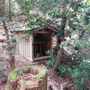 気持ちの良い下りの途中にまた小さな社あり。