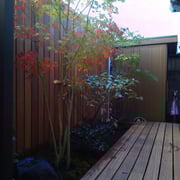 植栽工事（イロハモミジ・ハクサンボク・スギゴケ）【庭匠（にわしょう）】造園・外構・エクステリア－奈良県北葛城郡広陵町