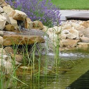 Schiller Gartengestaltung - Garten und Landschaftsbau Cuxhaven - Wasserobjekte