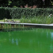 Schiller Gartengestaltung - Garten und Landschaftsbau Cuxhaven - Wasserobjekte
