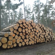 Langnow, Foto: J. Burkhardt