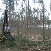 Langnow, Foto: J. Burkhardt