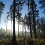 Boddin-Langnow, Foto: J. Burkhardt