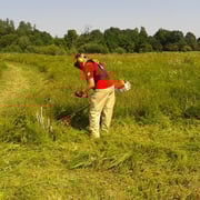 Die Mahd erfolgte mit Freischneidern ...