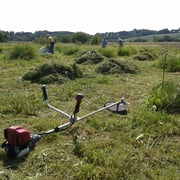 Beim Pflegeeinsatz 2014.