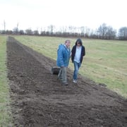 Wichtig: Anwalzen sorgt für den zur Keimung notwendigen Bodenschluß der Saatkörner.