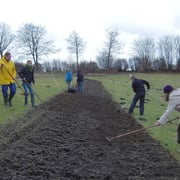 Leichtes (!) einharken der Saat.