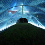 幻想的なトンネルです。