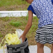 ゴミはゴミ箱に！