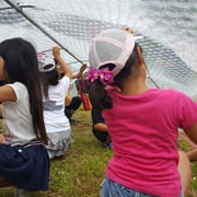 固定できたかな??