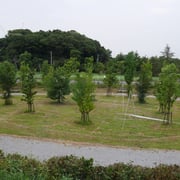 ここに、「光の洞窟」が出現しますよ！