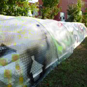 後日、今度は輝く太陽のもとで、子どもたちの成果を愛でに伺いました。