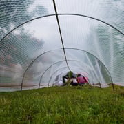 ドームが完成しました！