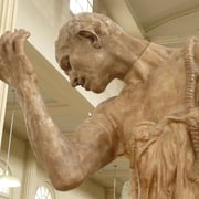 Le gros plan fait apparaître les frontières des différentes pièces qui ont été assemblées, surtout au niveau du cou et du biceps.