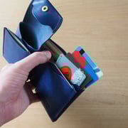 カードはインナーに4枚程度