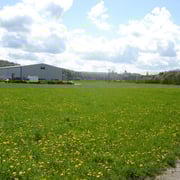 Ansicht vom Waldrand