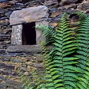 © Juanjo Arrojo © SRT. Sociedad Regional de Turismo / El Sabil. Senda del Oso.