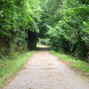 Senda del Oso (Santo Adriano)