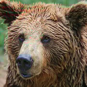 Cercado Osero. El Sabil. Senda del Oso