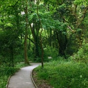 Jardín Botánico de Gijón © Foto Jardín Botánico /  El Sabil. Senda del Oso.