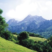 Paisaje. © SRT. Sociedad Regional de Turismo / El Sabil. Senda del Oso.