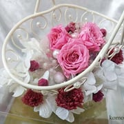 ￥4600ケース付　15x20x15