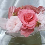 ￥4400ケース付　15x20x15