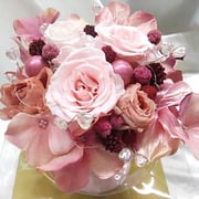 ￥5800ケース付　20x25x20