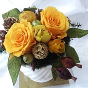 ￥4980ケース付　15x20x15